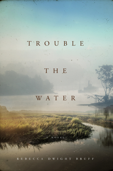 Cover of Trouble The Water by Rebecca Dwight Bruff