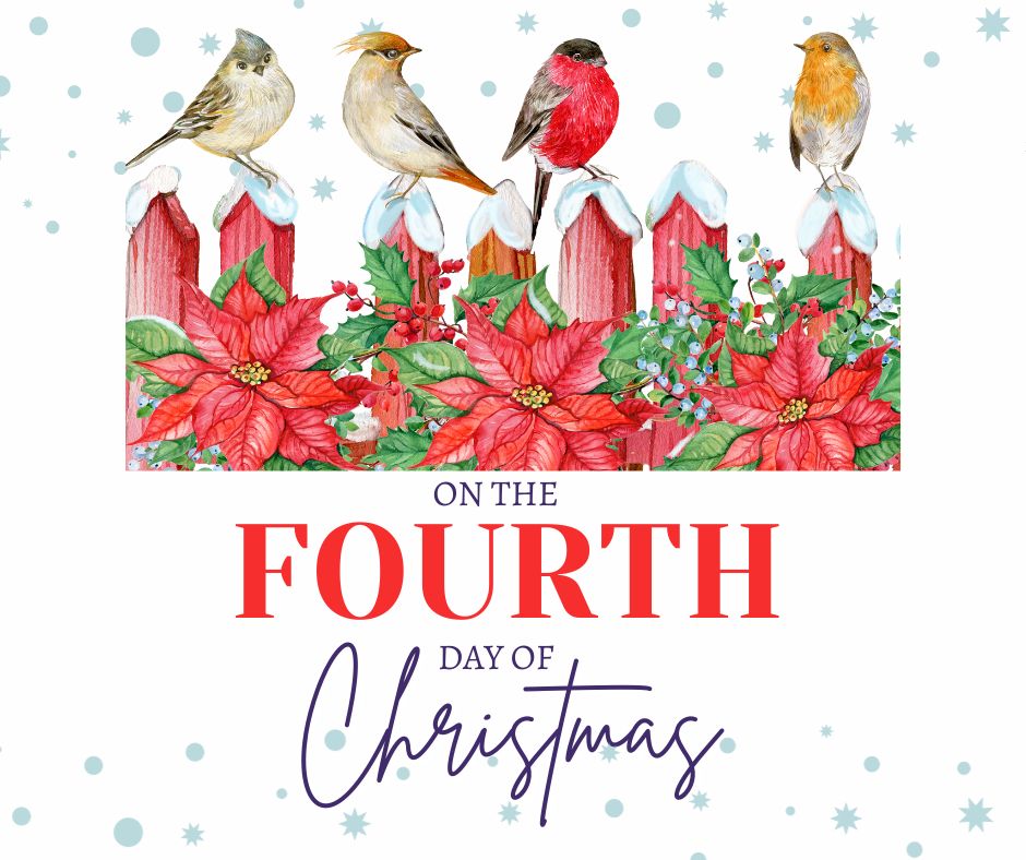 Four birds on a red fence for the Fourth day of Christmas
